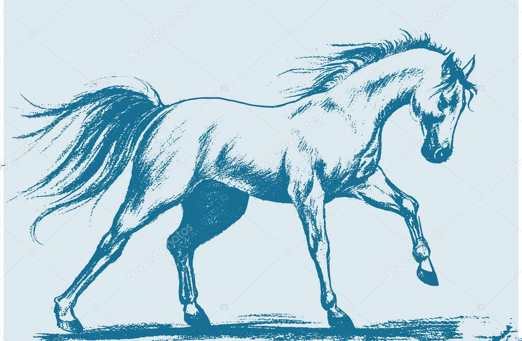 Drawing or Sketch of running Horse outline editable illustration