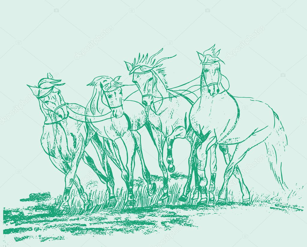 Drawing or Sketch of running Horse outline editable illustration