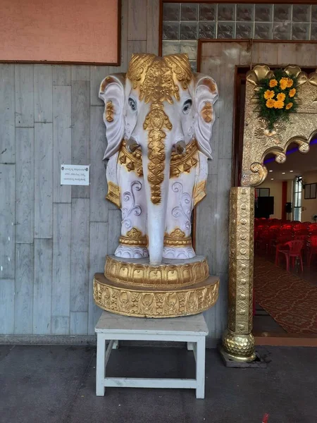 Channarayapatna Karnataka India Feb 2021 Closeup Beautiful Decorated White Elephant — Stock Photo, Image