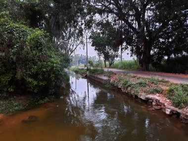 Kolakarana Doddi, Mandya Bölgesi, Karnataka, Hindistan 'daki güzel su kanalı ve göletin yakınları.