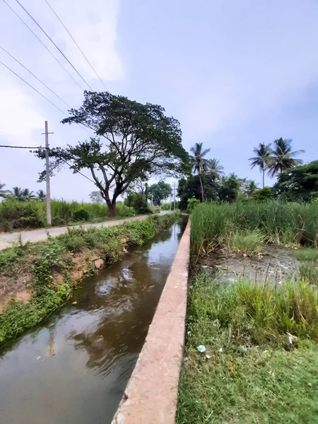 Kolakarana Doddi, Mandya Bölgesi, Karnataka, Hindistan 'daki güzel su kanalı ve göletin yakınları.