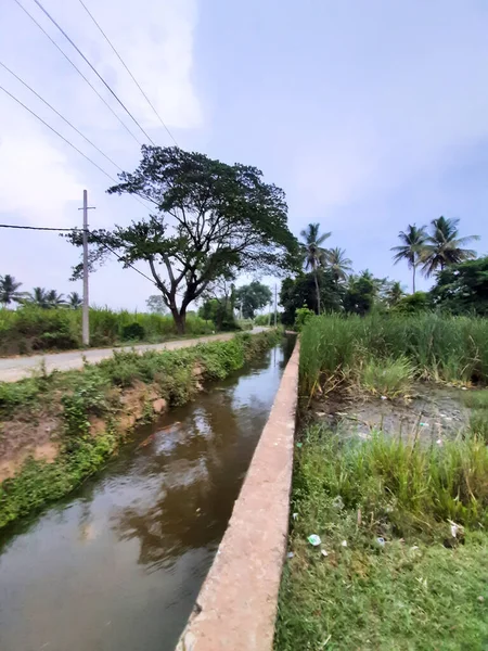 Närbild Vacker Vattenkanal Och Damm Byn Kolakarana Doddi Mandya District — Stockfoto