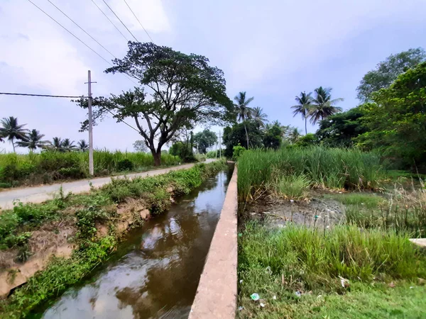 印度卡纳塔克邦Mandya区Kolakarana Doddi村美丽的水渠和池塘的堵塞 — 图库照片