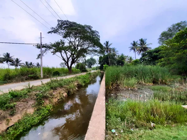 Восстановление Красивого Водоканала Пруда Деревне Колакарана Додди Округ Мандья Карнатака — стоковое фото