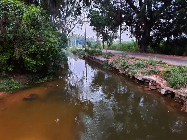 Kolakarana Doddi, Mandya Bölgesi, Karnataka, Hindistan 'daki güzel su kanalı ve göletin yakınları.