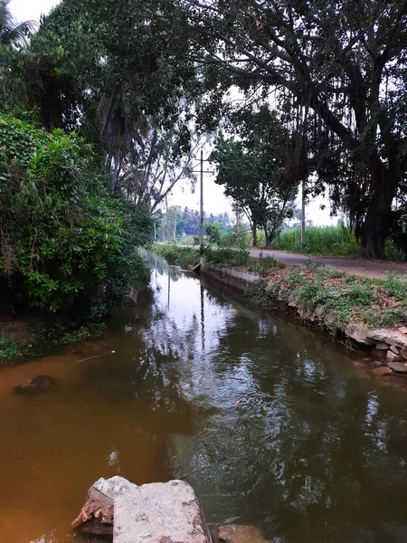 印度卡纳塔克邦Mandya区Kolakarana Doddi村美丽的水渠和池塘的堵塞 — 图库照片