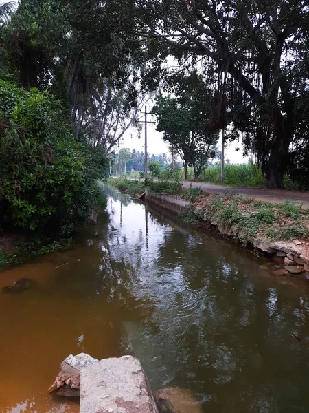 Närbild Vacker Vattenkanal Och Damm Byn Kolakarana Doddi Mandya District — Stockfoto