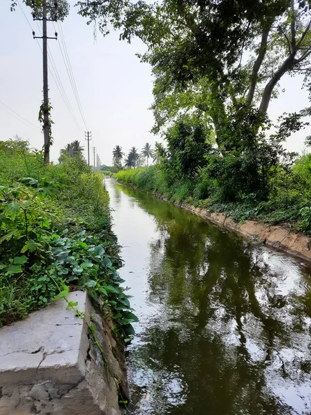 Gros Plan Magnifique Canal Eau Étang Dans Village Kolakarana Doddi — Photo