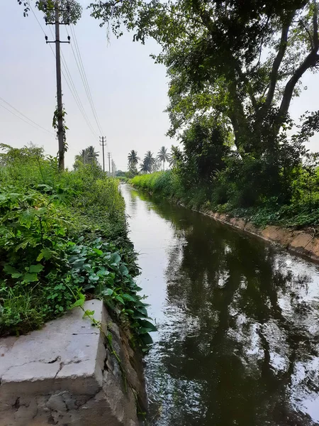 Розташування Чудового Водного Каналу Ставка Селі Колакарана Додді Мандья Карнатака — стокове фото