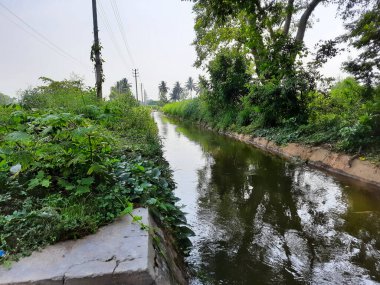 Kolakarana Doddi, Mandya Bölgesi, Karnataka, Hindistan 'daki güzel su kanalı ve göletin yakınları.