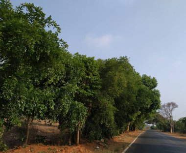 Doddaballapura yakınlarındaki Ghati Subramanya Tapınağı 'nda güzel bir asfalt yolu ya da yol.