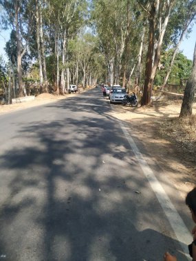 Chikkaballapur, Karnataka, Hindistan-Mar 23, 2021: Nandi Hills 'e giden asfalt yolun güzel perspektif manzarasına yakın çekim.