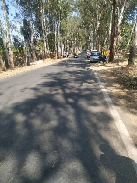 Chikkaballapur, Karnataka, Hindistan-Mar 23, 2021: Nandi Hills 'e giden asfalt yolun güzel perspektif manzarasına yakın çekim.