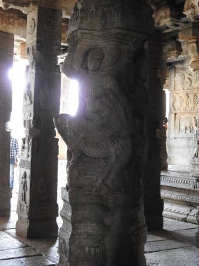 Hindistan 'ın Andhra Pradesh eyaletinde Lepakshi' de bulunan Veerabhadra Hindu tapınağında tanrı ve tanrıça oymalı güzel taş sütunlar.