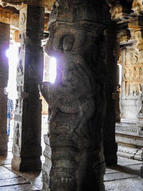 Hindistan 'ın Andhra Pradesh eyaletinde Lepakshi' de bulunan Veerabhadra Hindu tapınağında tanrı ve tanrıça oymalı güzel taş sütunlar.