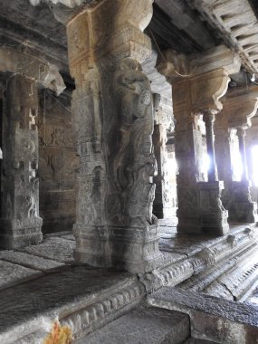 Hindistan 'ın Andhra Pradesh eyaletinde Lepakshi' de bulunan Veerabhadra Hindu tapınağında tanrı ve tanrıça oymalı güzel taş sütunlar.