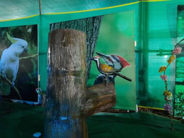 Bangalore, Karnataka, Hindistan-Ekim 05, 2022: Kamakshipalya Zemini yakınlarındaki güzel robotik kuşların ve büyük tekerlek eğlence parkının kapatılması.