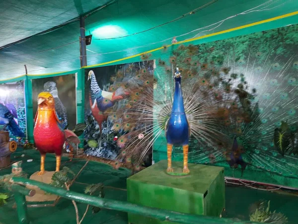 Bangalore Karnataka India Oct 2022 Acercamiento Hermosas Aves Robóticas Gran — Foto de Stock