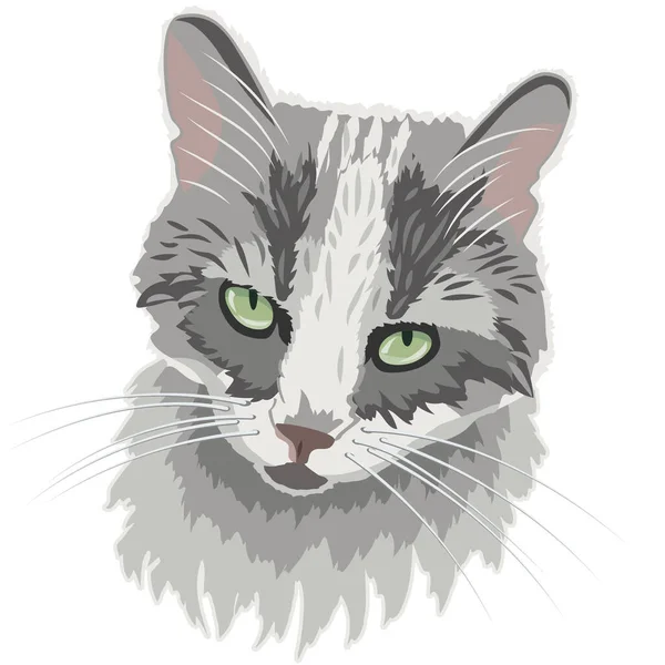 白い背景にグレーの猫の肖像ベクトル画像 — ストックベクタ
