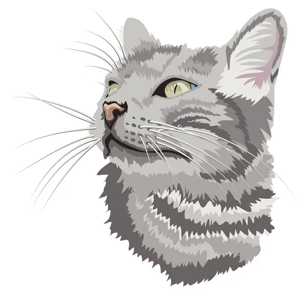 灰色の縞模様の猫の肖像画です — ストックベクタ