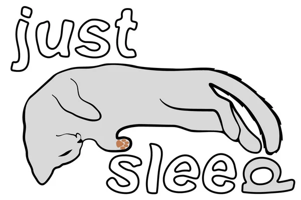 Schlafende Katze Und Die Worte Just Sleep Minimalistische Illustration Auf — Stockvektor