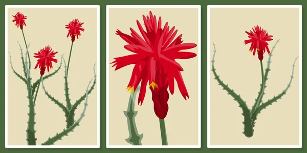 Aloe Flowers Set Wall Art Poster Tapety Tisk — Stockový vektor