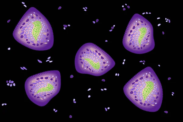 Cells Unicellular Organisms Vector Pattern — Vettoriale Stock