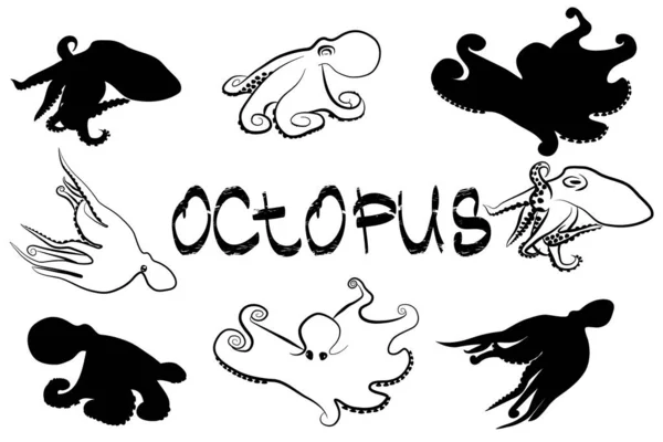 Zwarte Witte Octopus Silhouetten Octopus Tekst Vectorillustratie — Stockvector