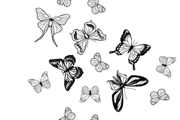 Black White Openwork Butterfly Seamless Pattern — Vetor de Stock