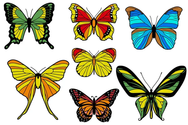 Set Seven Multi Colored Butterflies White Background — Vetor de Stock