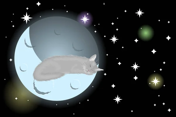 Huge Fluffy Gray Cat Sleeps Moon Vector Illustration — Stock Vector