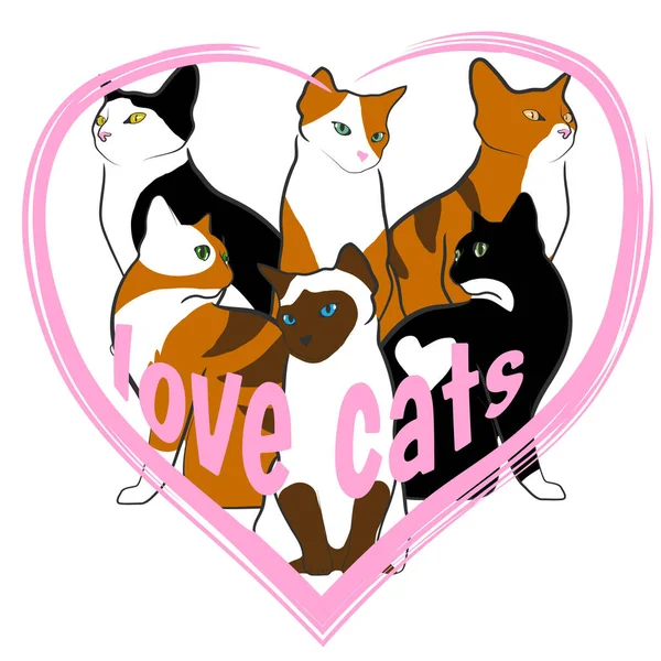 几只五彩斑斓的猫围坐在一起 文字和爱心猫的矢量形象 — 图库矢量图片