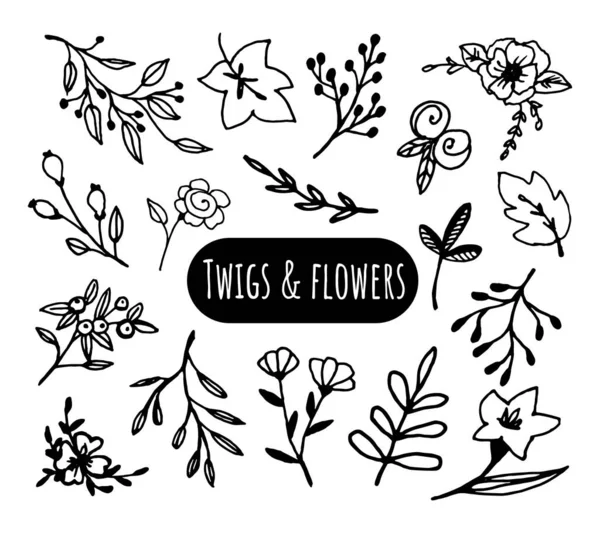 Twigs Bloemen Abstracte Vector Doodles Set Met Hand Getrokken Elementen — Stockvector