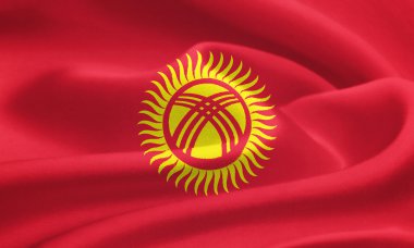 Flag of Kyrgyzstan clipart