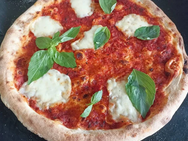 İtalyan spesiyali, mozzarella soslu pizza, domates sosu ve fesleğen. Fırından yeni çıkmış taze ve çıtır çıtır..