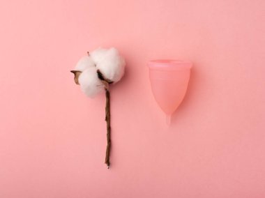 Bir adet kupası ve gül arka planında bir pamuk filizi. Sıfır atık. 