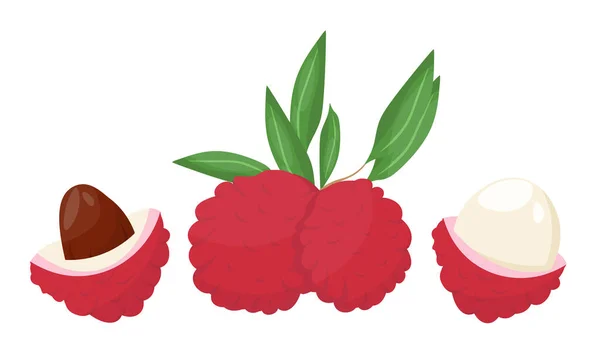 Un set di icone litchi in cartone animato piatto style.lychee frutta nella sezione.vector illustration.a design kit. — Vettoriale Stock