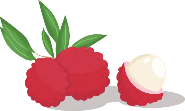 Litchi su uno sfondo isolato nel piatto style.cartoon fruit.vector illustration.set di frutta litchi nella buccia e pelati — Vettoriale Stock