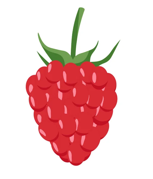 Framboise en dessin animé style plat sur un fond isolé avec l'icône de framboise highlights.vector . — Image vectorielle