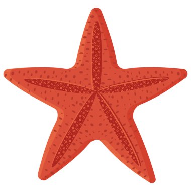 İzole edilmiş deniz yıldızı. Beyaz arkaplan üzerindeki renk vektörü izole edilmiş illüstrasyon.