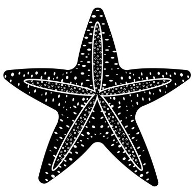 Starfish isolated on a white background. Vector illustration, black stencil icon.