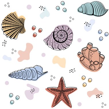 Beyaz çizgili arka planda farklı renkte deniz kabuklarının deseni