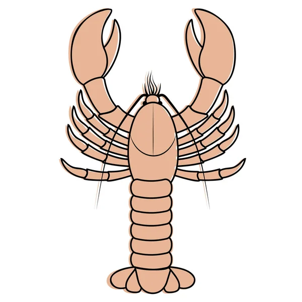 Lobster, warna gambar vektor terisolasi pada latar belakang putih dalam gaya kartun - Stok Vektor