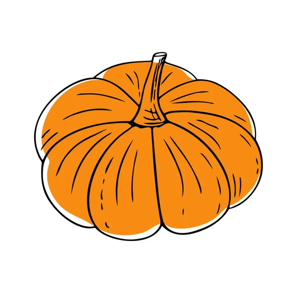 Soyut turuncu benekli bir karalama balkabağı seti. Cadılar Bayramı süsü. El çizimi Şükran Günü kabağı, vejetaryen yemeği, düzgün beslenme, sağlıklı beslenme..