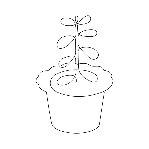 ポット 1つのラインアート 手描きの継続的な輪郭のクラスラ お金の木 葉で鉢植え 植物の家の装飾 ミニマリストのデザイン 編集可能なストローク — ストックベクタ