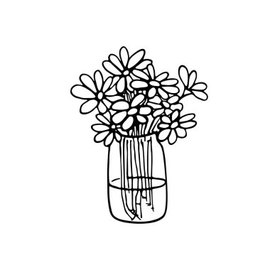 Çiçek demeti, papatya çiçekleri. Kavanozda bir sürü papatya. Tatile romantik hediyeler. Basit çiçek çizimi, çizim, natürmort. Vektör