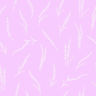 Lavanta desensiz, el karalaması arka damlacıklar. Botanik duvar kağıdı, Fransız tarlası çiçeğinin botanik süslemesi, doğal organik ürün, bitki. İlaç, aromaterapi, çay seremonisi tasarımı.