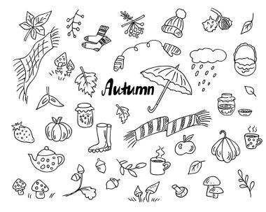 Doodle sonbahar seti, soğuk hava için el yapımı elementler. Böğürtlen, yaprak, meyve, hasat, çaydanlık ve fincanlar, örgü aksesuarlar. Taslak, serbest ve minimalist tasarım, çocuk çizimi.