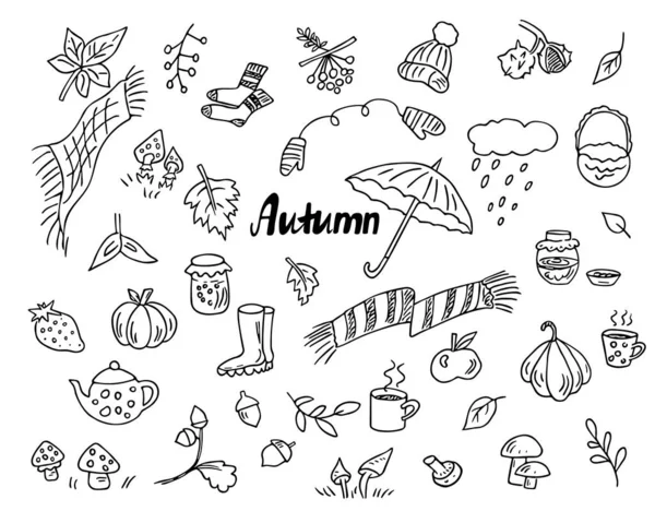 Doodle Autumn Set Hand Drawn Elements Cold Weather Berries Leaves — Stock Vector