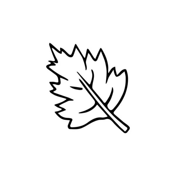 Doodle Leaf Hand Drawn Quickly Painted Autumn Symbol Sketch Freehand — Stock vektor